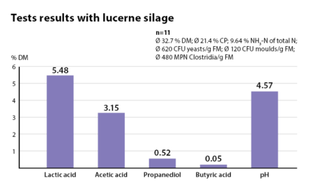 Field results with lucerne silages