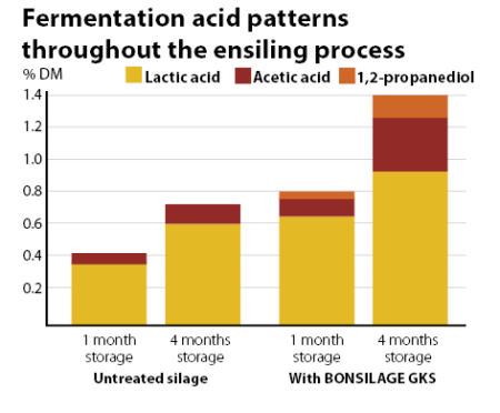 Fermentation profile during ensiling of BONSILAGE GKS treated and untreated silages.
