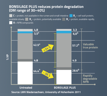 BONSILAGE PLUS reduces protein degradation.