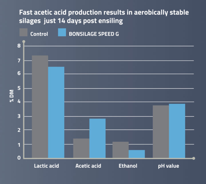 Fast production of acetic acid