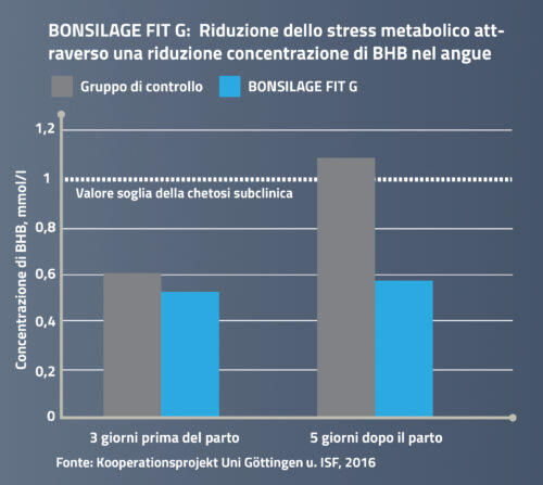 BONSILAGE FIT G: Riduzione dello stress metabolico attraverso una riduzione concentrazione di BHB nel angue