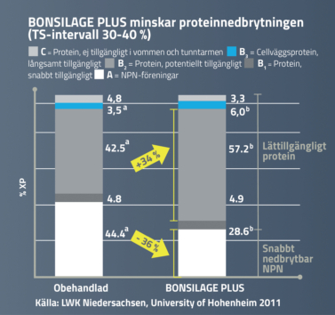 BONSILAGE PLUS minskar proteinnedbrytningen (TS-intervall 30-40 %).