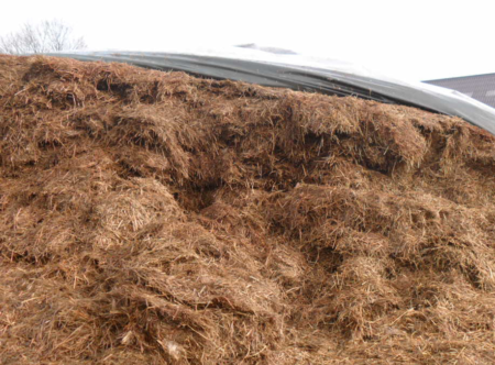 Grass silage with moulds