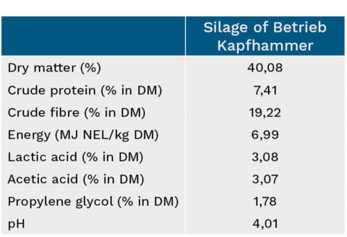 Overview of maize silage characteristics - Betrieb Kapfhammer
