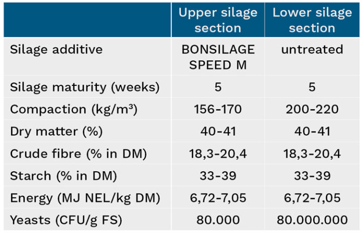 Comparison of maize silage treated with BONSILAGE and untreated silage