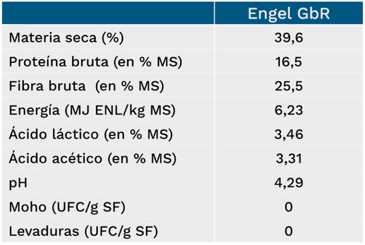 Resumen de características del ensilado de Engel GbR