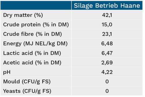 Overview of Haane silage characteristics